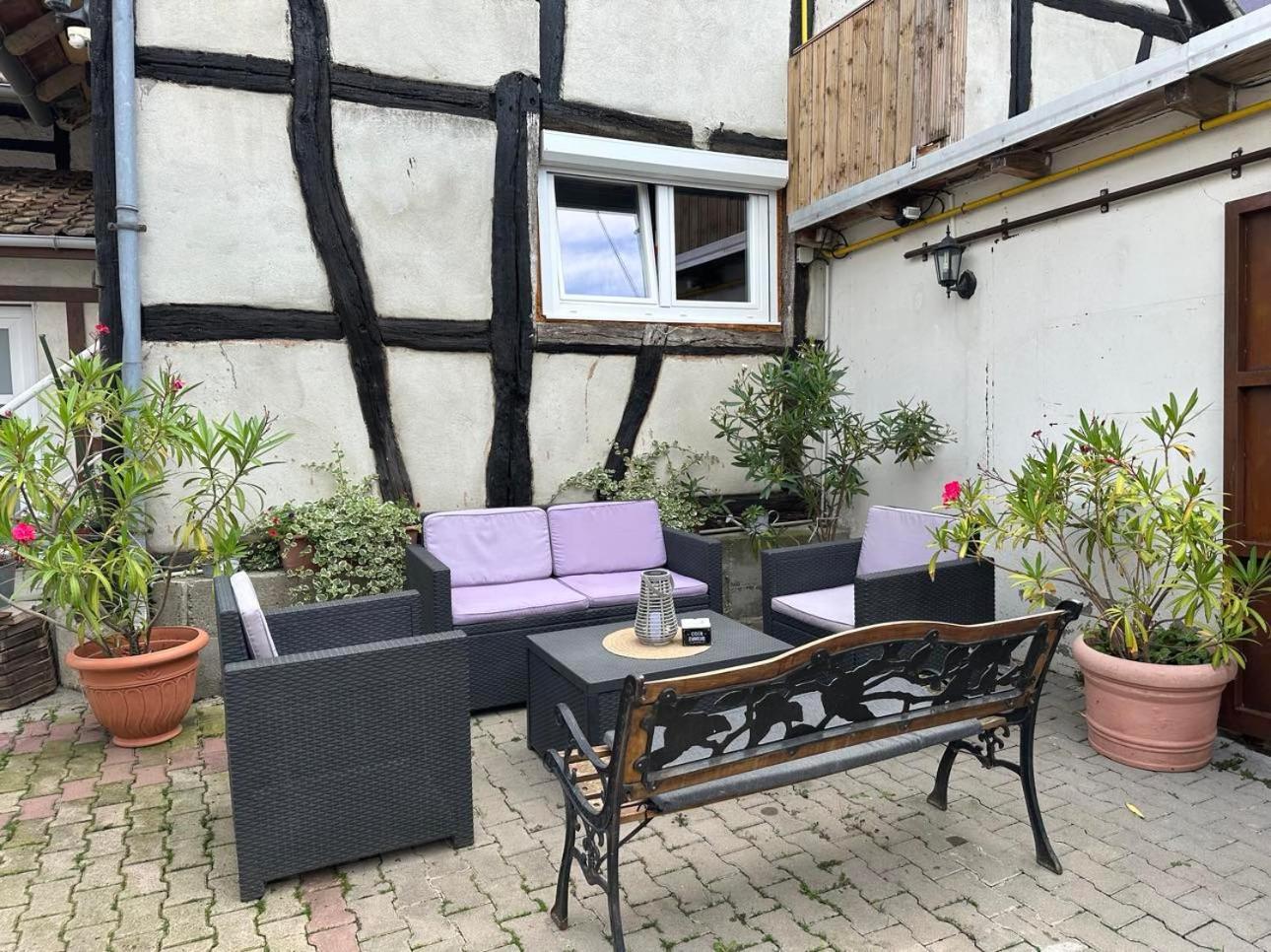 Gite Au Giessen - Loft Biesheim Extérieur photo